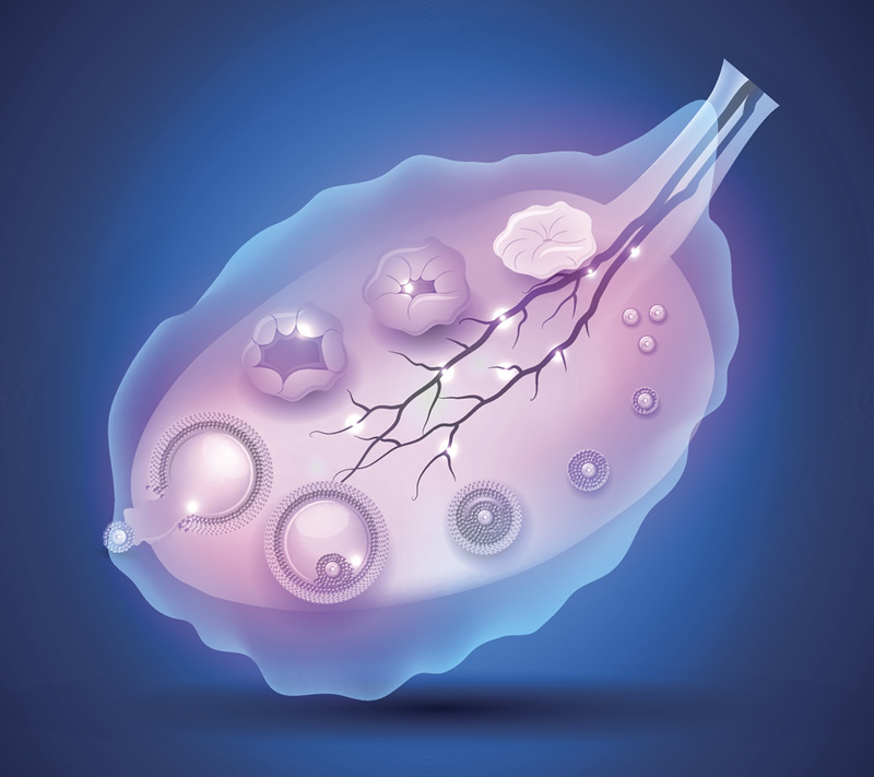 2026年兰州三代试管婴儿医院实力盘点：甘肃省妇幼、兰州大学一院等机构受关注，附辅助生殖核心问题与费用指南